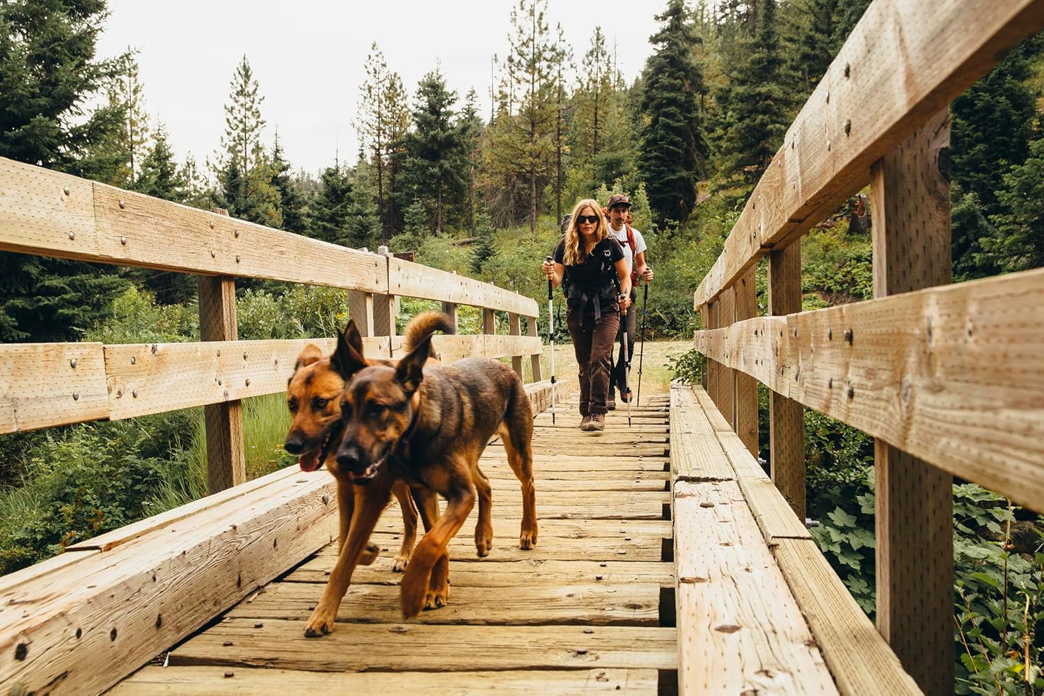 Trekking Poles - Carbon Fiber Monopod Walking or Hiking Sticks with with Accessories Mount and Adjustable Quick Locks - Image 8